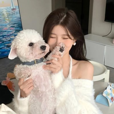 彩凤笙歌