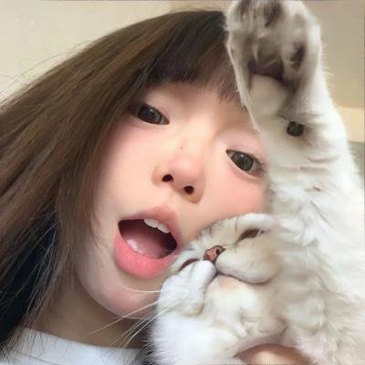 小熊的夏天